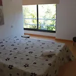 Casas Do Corvo Dom wakacyjny Ventosa (Braga)